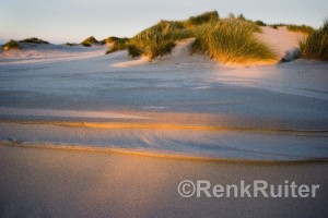 IMG_2667-Terschelling