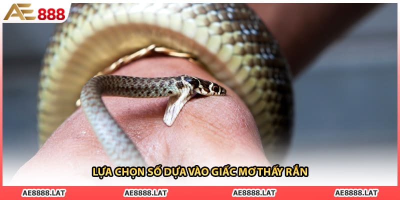 Lựa chọn số dựa vào giấc mơ thấy rắn