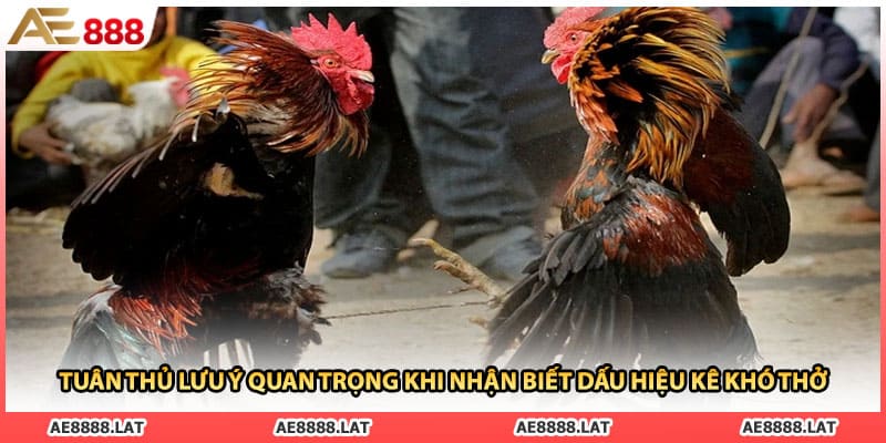 Tuân thủ lưu ý quan trọng khi nhận biết dấu hiệu kê khó thở